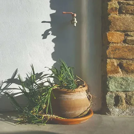 Avissalou * Agios Romanos