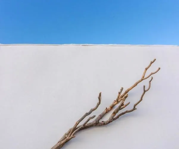 Apartment Avissalou Agios Romanos