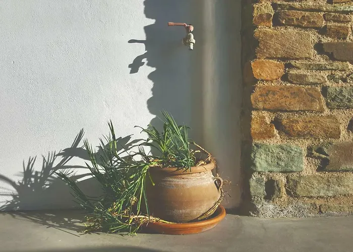 Avissalou * Agios Romanos